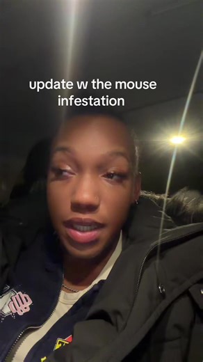 Facing Mouse Infestation in New Apartment Search