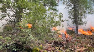🔥 Wild Rivers Ranger District Crews will continue pile burning operations near Althouse Creek and Buckhorn today, November 20th, 2025. 45 acres of pile burning was completed yesterday on the Shan-Apple unit near Onion Mountain with the assistance of Lomakatsi Restoration Project. See attached photos. | U.S. Forest Service- Rogue River-Siskiyou National Forest