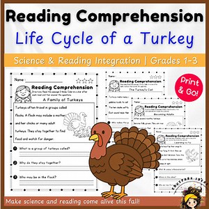 Life Cycle of a Turkey Reading Comprehension Worksheets | Fall Science 1st–3rd