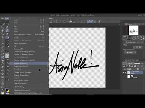 Create Your Own Watermark, Stamp, Signature in Clip Studio Paint (CSP)