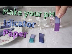 How to Make Homemade pH Paper Test Strips