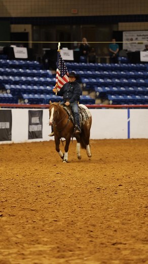 23K views · 683 reactions | We took it to a higher level on day eight of the World Championship Appaloosa Show! We’ll see you back for day nine! #worldchampionshipappaloosashow #appaloosa | Appaloosa Horse Club | Facebook
