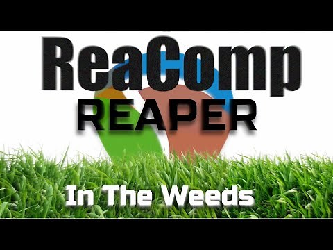 Reaper in the Weeds: ReaComp - Comprehensive Overview