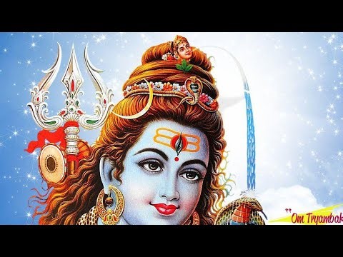 welcome to my live steam support live steam ⚘️⚘️⚘️⚘️⚘️⚘️⚘️⚘️⚘️⚘️⚘️⚘️