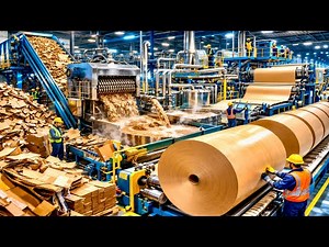 From Waste to Wonder: Cardboard Recycling Process Explaine | Mass Production Factory Process