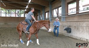 20K views · 311 reactions | NEW VIDEO! Teaching a horse to draw...