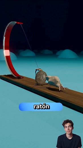 Cómo funciona una trampa casera para ratones . . #Aprendizaje #datoscuriosos #educacion #cosasquenosabias #historia #educacion #CulturaGeneral #facts #education #Funfacts | Laik