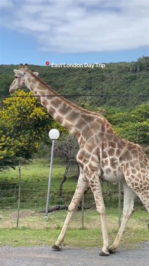 Adventure, ocean views and good vibes all in one day. Join us for an unforgettable trip that includes: 🏍 Quad Bike Tour 🍽 Lunch at Areena Resort ⛵ 2 Hour Yacht Cruise along the East London coastline 🚌 Transportation included 🙌 Dedicated Eastern Cape Travel tour operator 💰 R1850 per person 📅 Upcoming Dates: • 7 March • 28 March • 4 April • 25 April Secure your seat with a R600 deposit and let’s go explore East London the ECT way. 🌊