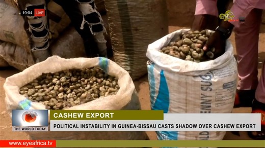 POLITICAL INSTABILITY IN GUINEA-BISSAU CASTS SHADOW OVER CASHEW EXPORT Local cashew farmers in Guinea Bissau have expressed concern over the prevailing political instability, which according to them could disrupt their business activities. As the next market season approaches, the farmers are worried amidst the uncertainty since the military took over last month but authorities of the west African nation have vow to protect the sector. Details in this report………………….. | EYE Africa TV Online