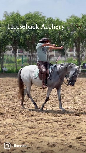 61 reactions · 8 comments | Marwari is Marwari According to my coach @rubenwarrior_ Marwari horses are the best for horseback archery  They give smooth and balance transitions.#horsebackarchery #horsearchery #marwaribreed #indianhorse | Ajit Nandal Indian cowboy | Facebook