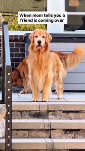 We Had a Friend Spend the Night! | Tucker Budzyn