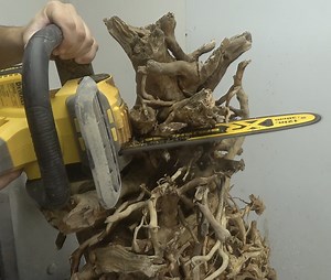 Tree root working - amazing result! | 5-Minute Crafts Family