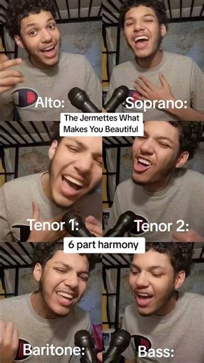 The Jermettes What Makes You Beautiful (6 part harmony)