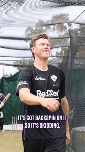 10K views · 236 reactions | Hobart Hurricanes on Reels | Facebook