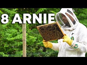 Sono ARRIVATE le API che mi avete REGALATO Farmer, sono arrivate le api nel nuovo terreno! Curiosi di saperne di più? Vi consiglio di ascoltare il discorso che ho fatto con Pietro perché abbiamo parlato di cose molto interessanti e mi ha raccontato la sua storia, che nonostante la giovane età è già molto importante! Cosa ne pensate? Fatemelo sapere con un commento! È uscito il mio corso: "COME FARE L'ORTO PARTENDO DA ZERO" qui: https://www.farmeracademy.it/p/come-fare-l-orto-partendo-da-zero Gua