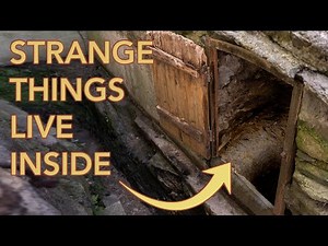 Exploring Our Old Water Well