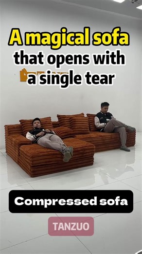 Sofa in a Box: Innovative Solution to Reduce Costs