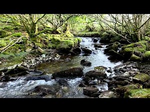 RELAXING MUSIC-música relajante-musique relaxante-muzică de relaxare-Entspannungsmusik