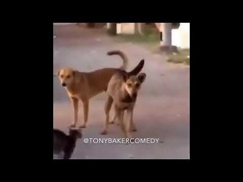 Tony Baker Voice Over Compilation 😂😂😂