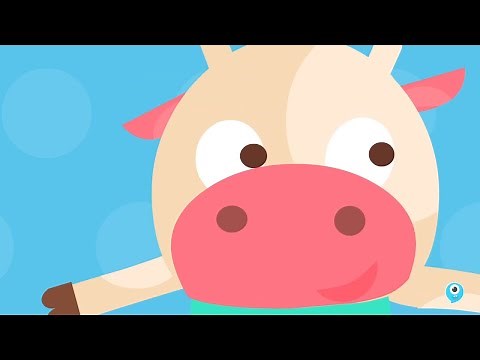 It's my Birthday 🎂 Song for Kids | Lingokids