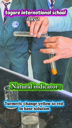 Tagore International School Devrala on Instagram: "natural indicator experiment, turmeric indicator experiment, turmeric as natural indicator, acid base indicator experiment, natural indicators chemistry, turmeric acid base test, school chemistry experiment, easy chemistry experiment, chemistry practical class 7 8 9 10, acids and bases experiment, home chemistry experiment, science reel india, science experiments for students, cbse chemistry practical, science teacher reels, chemistry lab experi