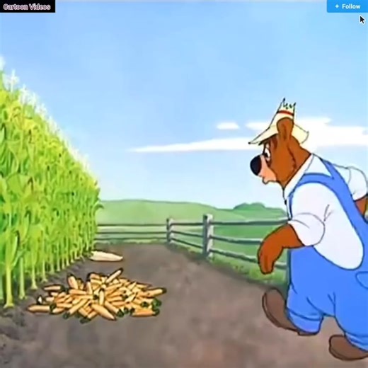 101K views · 1.2K reactions | Bear and the two birds cartoon | La vie des Larves | Facebook