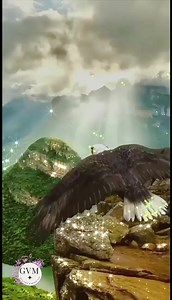 Free | Gifs, Vids & Music Etc