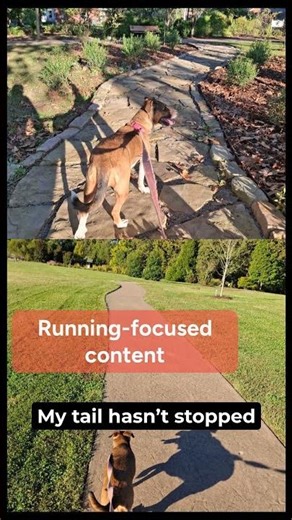 Bella Explores the Murray State Arboretum in Murray, KY