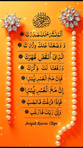 Ash-Sharh 🌟 Beautiful Recitation #theammarrecitation #quranrecitation #egzonibrahimi #shorts #quran