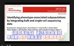 Identifying phenotype-associated subpopulations by integrating bulk and single-c