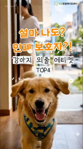 설마 나도 민폐 보호자?! 강아지 외출 에티켓 TOP4