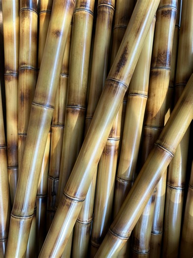 Flame Cured Bamboo Poles - 1.5" Diameter - Wedding Arches & Crafts - Etsy