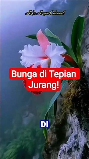 Bunga Misterius di Tebing Kabut — Keindahan yang Jarang Terlihat! #viral #shorts