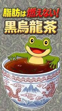 黒烏龍茶は何が違う？高い理由は“あの成分”だった｜脂肪対策の効果と正しい飲み方