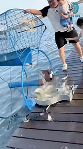 7.2K views · 46 reactions | These Farming Machines Are on Another Level | Future Agriculture Technology | Info Hub | Facebook