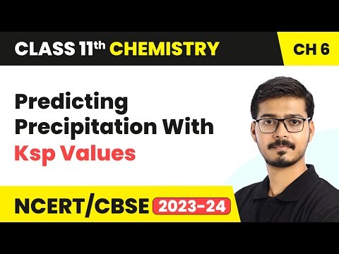 Predicting Precipitation With Ksp Values - Equilibrium | Class 11 Chemistry Chapter 6 | CBSE
