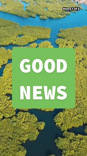 Connecting to Nature: The Rise of Sustainable Technology