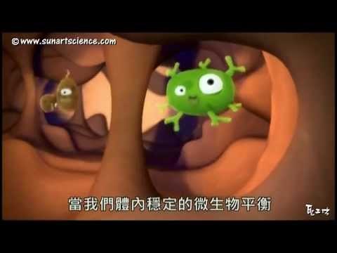 06 疾病 細菌和微生物