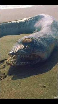 Unsettling Images You Wish You Never Saw… #creepy #disturbing #weirdimages #creepyphotos #unsettling