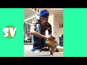 10 hood minutes worthy of "oh shit a rat" vine[Funny LightSkinMonte compilation]#vines#subscribe