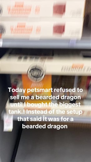 PetSmart's Bearded Dragon Policy: My Experience