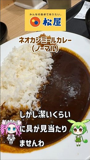 Matsuya Neo Kashmir Curry (Plain) [No Toppings] [Test Sales]