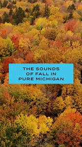 2.6K reactions · 474 shares | Fall in Michigan speaks for itself. | Pure Michigan | Facebook