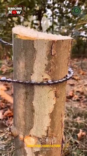 Amazing Hand Chainsaw Tool