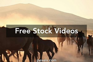 Dust Greenscreen Videos, Download The BEST Free 4k Stock Video Footage & Dust Greenscreen HD Video Clips