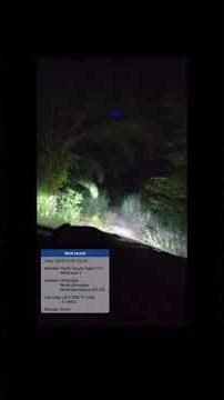 How Satellite Tracking Exposed the bandits who killed a Palm Wine Tapper in Delta State