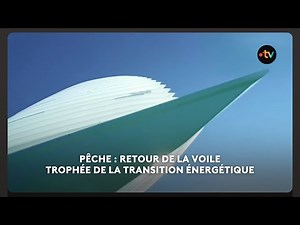 Pêche à la voile : Des architectes navals bigoudens remportent le trophée Transition énergétique