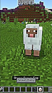 How to get a rainbow sheep in Minecraft (Easy Steps!)