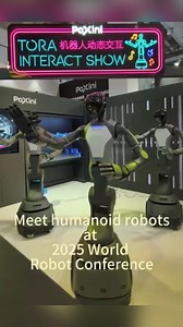 15K views · 139 reactions | Humanoid robots wow visitors with their precision, diverse designs and strong potential at the 2025 World Robot Conference, a five-day event that kicked off on Friday in Beijing. #China #TrendinginChina | Xi's Moments | Facebook