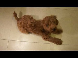 Sony NEX-5 HD sample 2